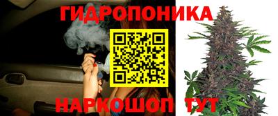 эйфоретик Абинск