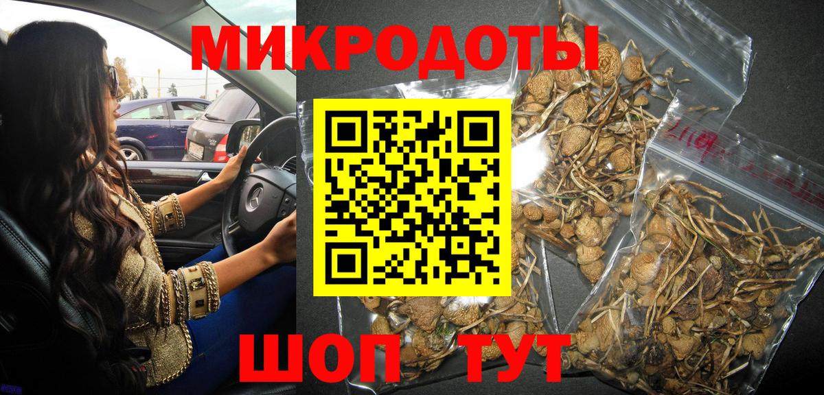 Галлюциногенные грибы MAGIC MUSHROOMS  Вход с VPN  Вологда 
