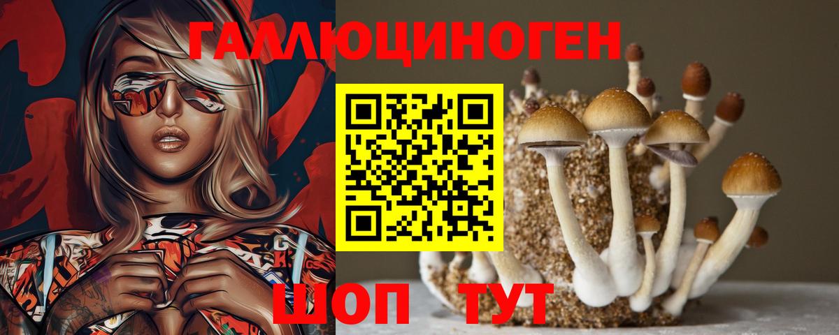Псилоцибиновые грибы Psilocybine cubensis Вологда