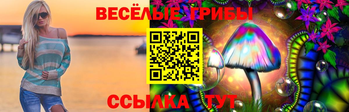 Псилоцибиновые грибы мицелий  купить  цена  Вологда 